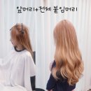 프리티헤어 이미지