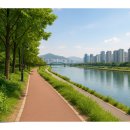 수영시티약국 이미지