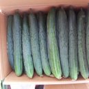 창희네 농장 이미지