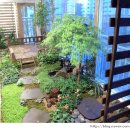 소박한 뜰 이미지