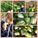 가풍농장 이미지