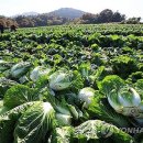 익산원예농협 로컬푸드직매장 이미지