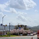 이화수전통육개장 경기과천점 | 이화수전통육개장 경기과천점 주차가능 어린이메뉴 있음 2살아기랑