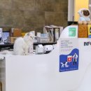 가나동물병원 이미지