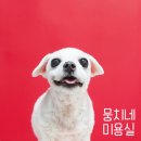 뭉치네 미용실 이미지