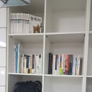 커브스봉천클럽 이미지
