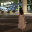 김희영 동아일보