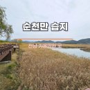 순천만습지 | 순천만습지 여행 정보(입장료) 및 방문 후기