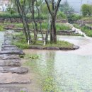 대가연꽃테마공원 이미지