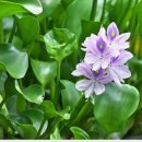 천메디칼 이미지