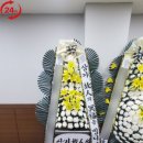 부산광역시의료원 이미지