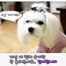 유등숯불식당 이미지