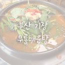 무룡매운탕 | [부산 기장 맛집] 깊고 얼큰한 국물의 끝판왕, 무룡매운탕 후기