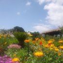 진상농장 이미지