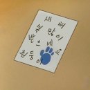 샘터꿈의도서관 | 25.12 독서결산