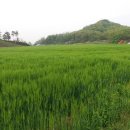 산정농원 이미지