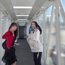 멍's랜드 네이버블로그