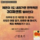내몸날다