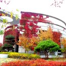 동강사진박물관 이미지