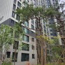 금빛나래공인중개사사무소 | 둔산더샵엘리프 입주자 어린이집 입소 대기 일정 안내