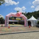 영해농협 로컬푸드직매장 이미지