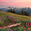 자연-이미지 이미지