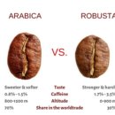 홈카페마스터 이미지