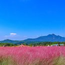 청솔농원