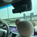 (주)빅베어 | 우리 결혼했어요👰🏻‍♀️🤍🤵🏻