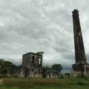 관보농장 이미지