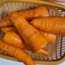(주)본노엘
