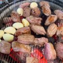 산적 통갈매기 세종점