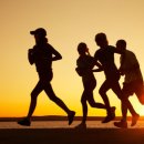 파주출판단지 근린공원(1) 이미지