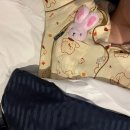 원화여자고등학교 | [개정] 10월 3주차 결산