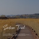 순천만국가정원 갯벌공연장 화장실 | 순천 가볼만한곳 순천만습지 갈대밭 용산전망대