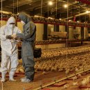 황등1농장 이미지