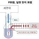 부산도기