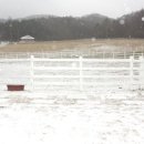 하늘목장 이미지