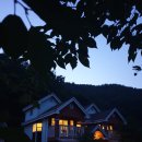 영월동강라메종펜션 이미지