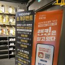 와일드 짐 이미지