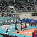 볼사이팅 이미지