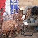 인천농장 이미지