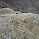 주산할머니 이미지