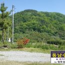 경동보일러함평