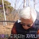 고향뜰 농장 이미지