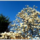 은혜병원 이미지