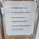 진갑산 | [부산/다대포] 바다뷰 고기집 다대포 진갑산, 내돈내산 솔직후기