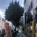 하당 예닮치과 건너편 | 목포타이어교체 하당밧데리에서 교체했어요