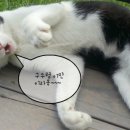 감노강변공원 이미지