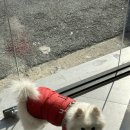 홍귤 | 대구 이색 데이트_홍귤유리공방